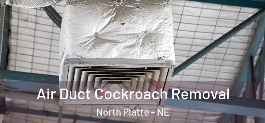  Air Duct Cockroach Removal North Platte - NE