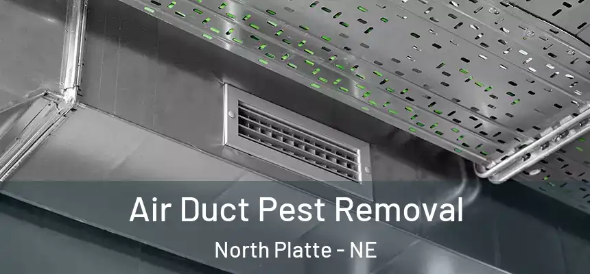  Air Duct Pest Removal North Platte - NE