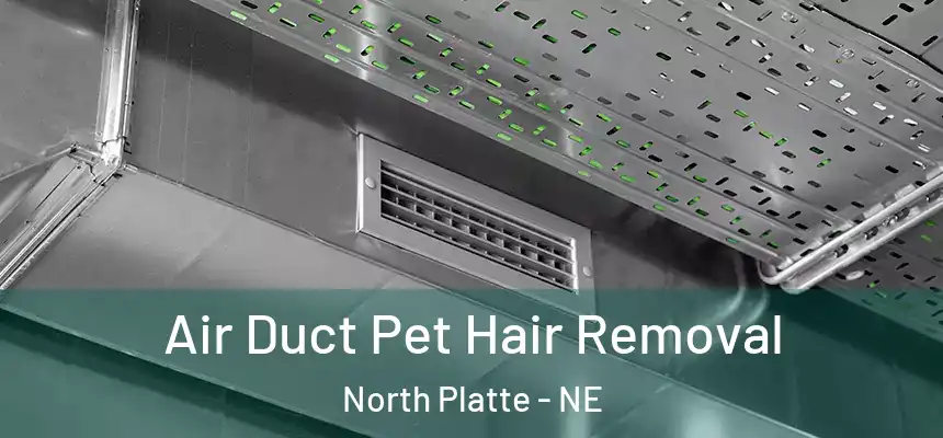 Air Duct Pet Hair Removal North Platte - NE