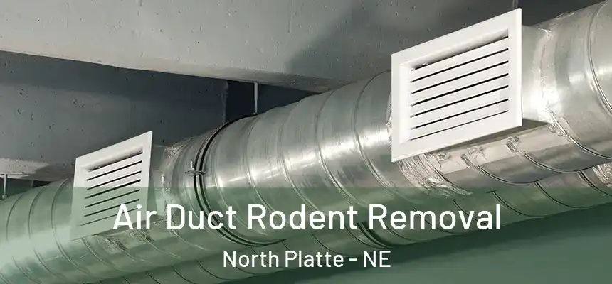 Air Duct Rodent Removal North Platte - NE