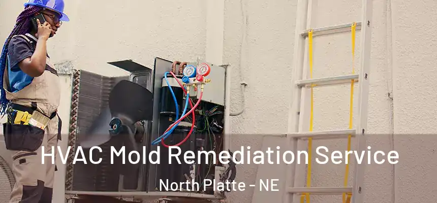 HVAC Mold Remediation Service North Platte - NE