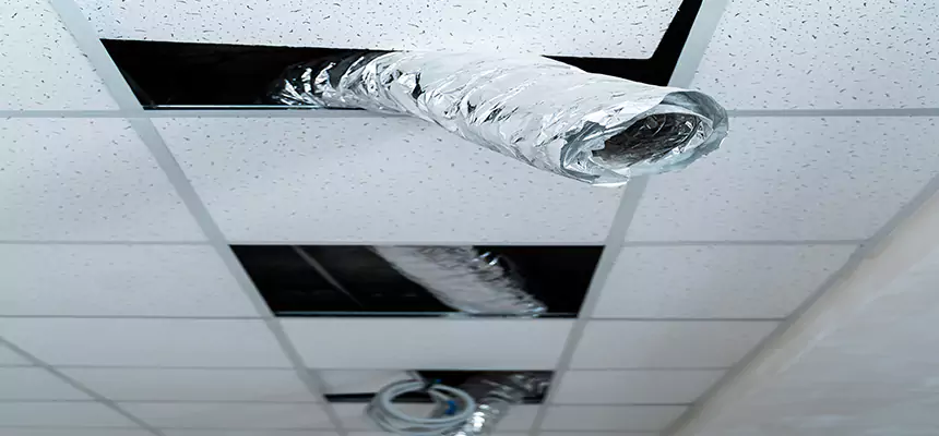 Our Air Duct Pet Hair Removal Services in North Platte, NE