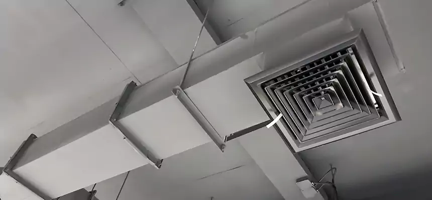 Our Rodent Droppings In Vents Services in North Platte, NE