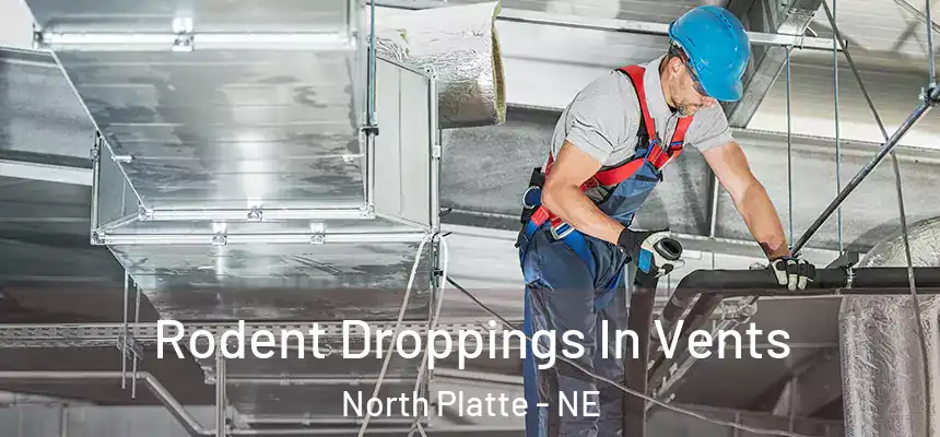  Rodent Droppings In Vents North Platte - NE