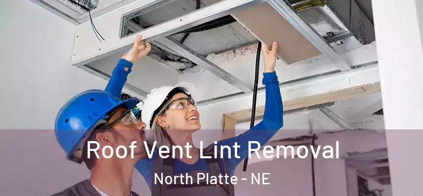  Roof Vent Lint Removal North Platte - NE