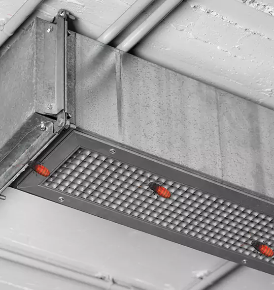 Affordable Insect Removal from Air Ducts in North Platte, NE